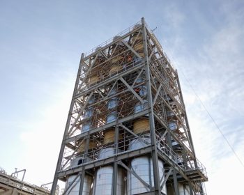 WhatsApp Image 2025-03-04 at 11.16.44 AM (1)